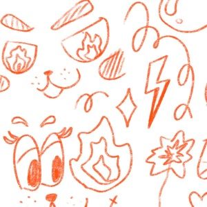 Meet your Posher, Koko